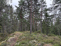 ØyvindBergkvam_20251102_6907b20c66b8c.jpg