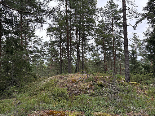 Buåsen i Nordre Follo
