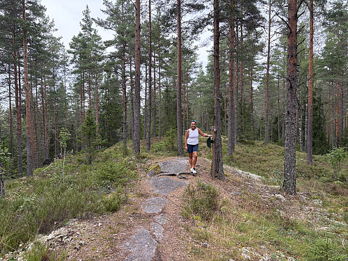 Brattåsen i Lillestrøm