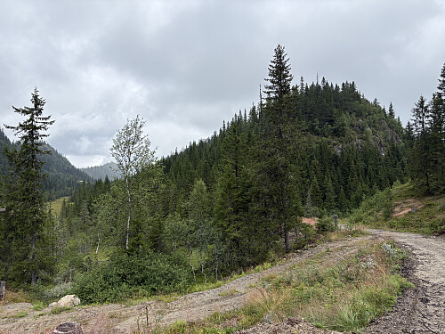 Mot høyde 699 fra snuplassen hvor jeg parkerte. Stie
n går innover dalen helt til venstre i bildet.