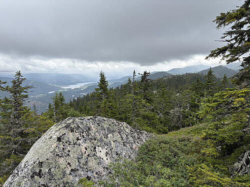 Sauflag i Flå, utsikt tilbake mot SØ-toppen