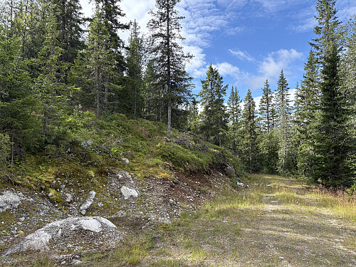 Her tok jeg til venstre ut fra veien
