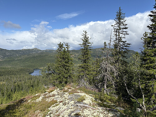 Utsikt mot Kvitjern fra ryggen nord for toppen