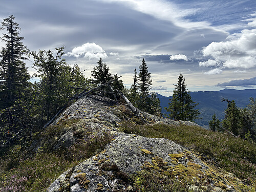 Trigpunktet ligger omtrent 100 meter SØ for toppunktet