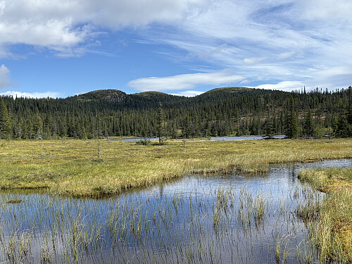 Raudfjellet og Kraknatten sett fra Øyvatnet