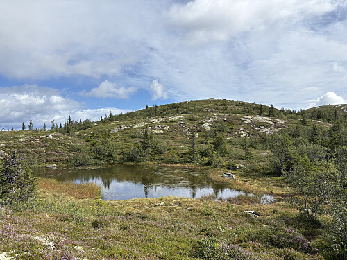 Raudfjellet