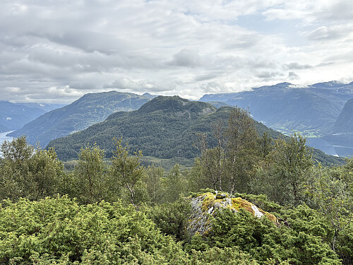 Dagens neste turmål, Hålandshovda, sett fra nedstigningen