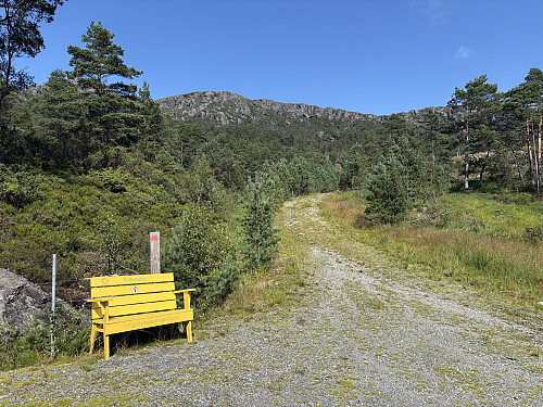 Her tok jeg av oppover mot toppen