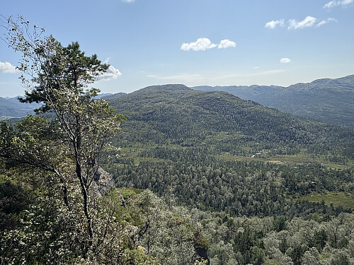 Utsikt over mot Bukkanibba fra turen opp mot Gråhorga