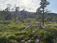 ØyvindBergkvam_20251108_690f3f82cd3ce.jpg