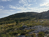 ØyvindBergkvam_20251108_690f3f8a50a4e.jpg