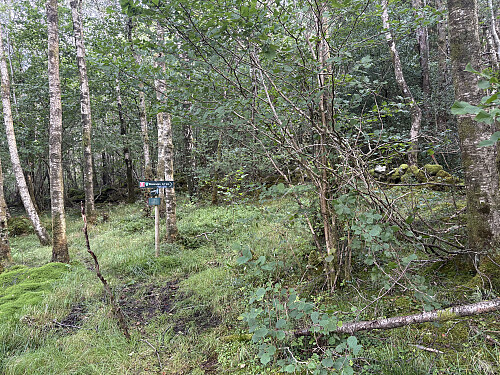 Her tok jeg til høyre bratt oppover mot toppen