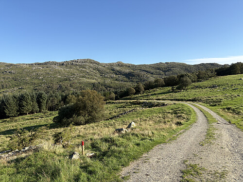 Tilbakeblikk mot Ristølnuten 