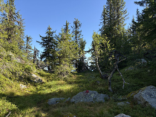 Ved skaret hvor stien dreier til høyre