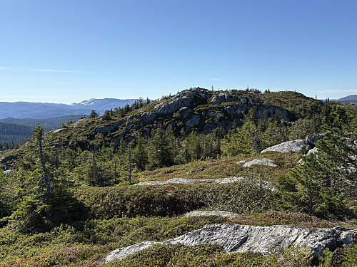 Toppen sett fra antennemasta