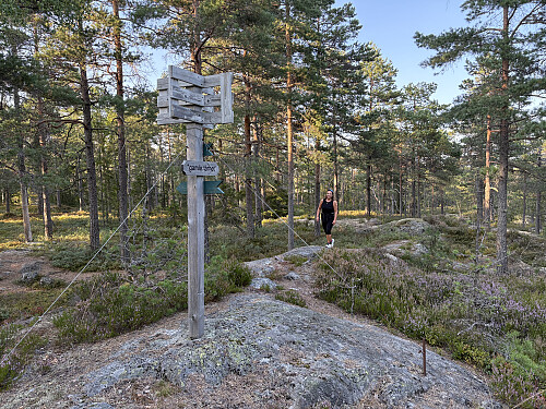 Toppunktet ligger litt sør for utsiktstårnet