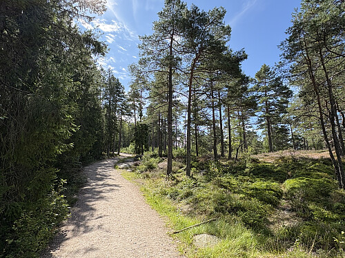 Fin turvei som fører helt opp til toppen