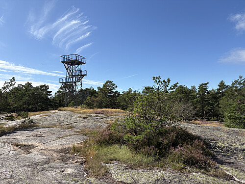 Vetatoppen i Fredrikstad