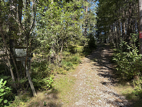 Turen opp til Høgnipen var stedvis merket og skiltet