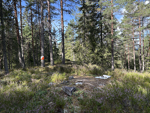 Barkenesåsen i Lillestrøm