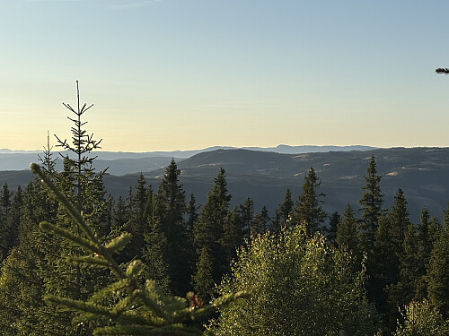Litt utsikt fra toppunktet