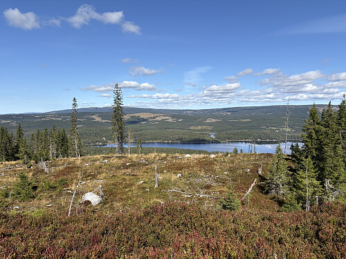 Utsikt ned mot Nord-Mesna
