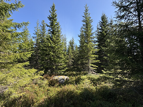 Sollihøgda i Lillehammer