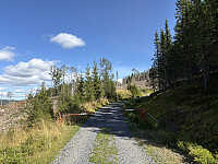 ØyvindBergkvam_20251116_6919fc82bd282.jpg