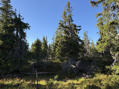 Lønstølhaugen i Lillehammer