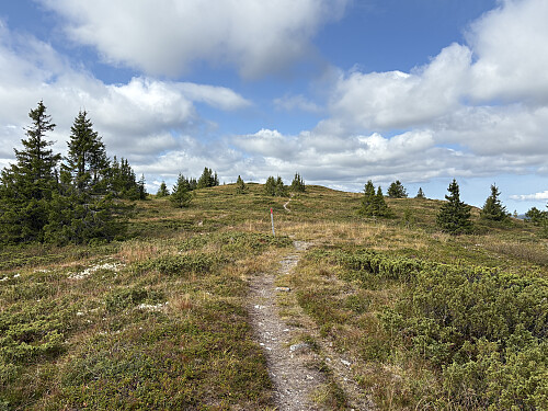 God sti det siste stykket opp mot toppen