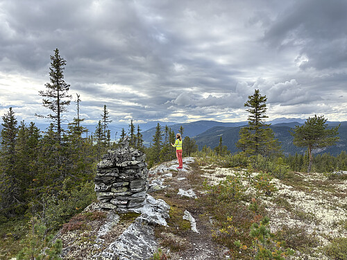 Ved trigpunktet vest for toppen