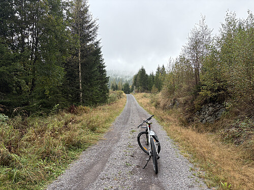Det er gode sykkelveier innover mot Finntjern og Langedalskollen