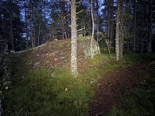 Vanakleiva i Lillestrøm "by night"