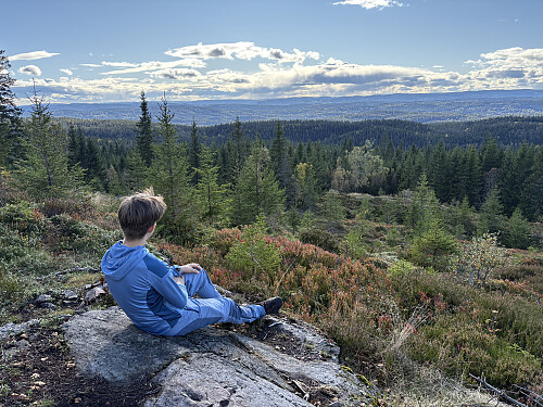 Utsiktspunktet mellom toppen og den merkede stien på Vidvangshøgda