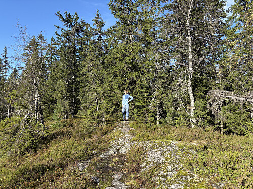 Vidvangshøgda Sør er Bærums høyeste topp