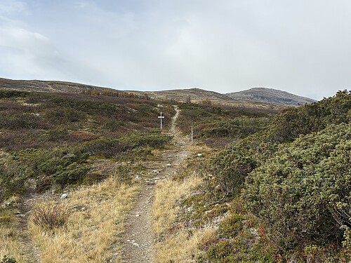 God sti oppover mot Nonstjønnkampen bakerst til høyre