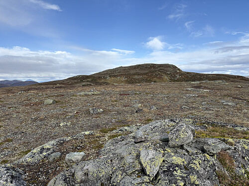 Nonstjønnkampen sett fra sørtoppen