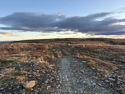 Toppen av Vetafjellet ses helt bakerst i bildet