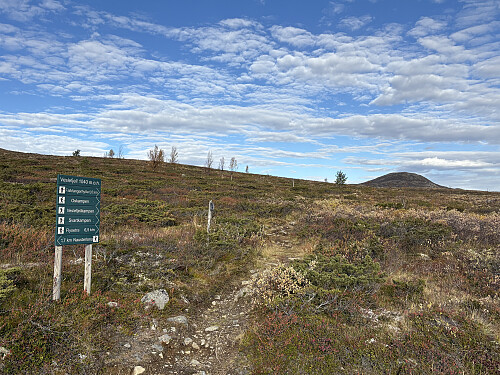 Merkede stier fra p-plassen