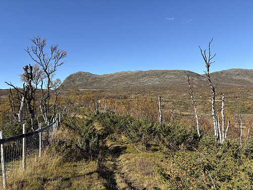 Stien følger kanten mot et grustak noen hundre meter i starten