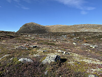ØyvindBergkvam_20251216_69413f01bdeb5.jpg