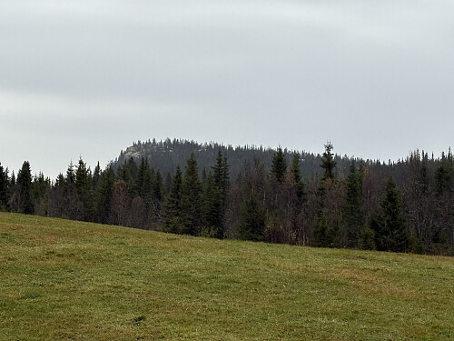 Åborsjøkampen sett fra Jønnhaltvegen