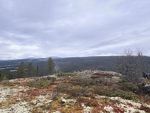 Åborsjøkampen i Ringebu