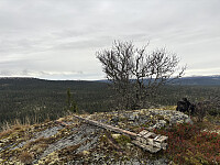 ØyvindBergkvam_20251216_69414cee911bc.jpg