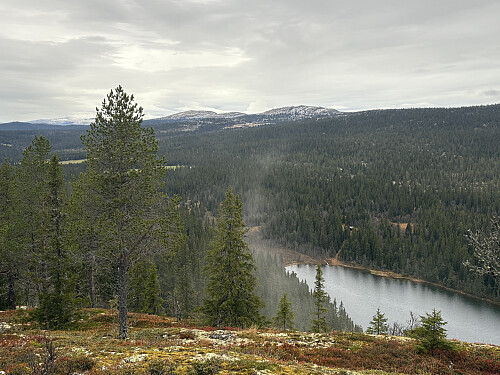 Utsikt ned mot Nørdre Åborsjøen