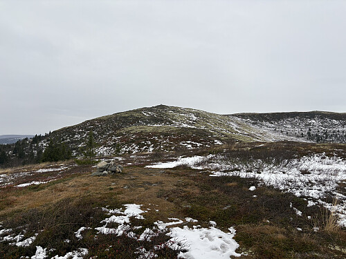 Fra fortoppen mot Trabelifjellet