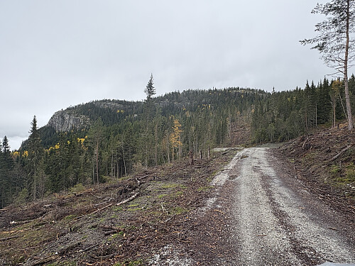 Skutelen sett fra den øverste hårnålsvingen 