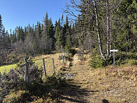 ØyvindBergkvam_20251216_69415d0812a06.jpg