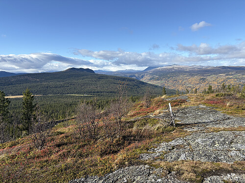 Feforkampen sett fra toppen av Kvitberget