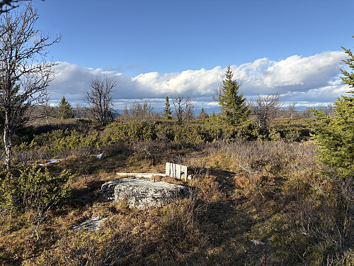 Toppunktet på Årstulhøgda